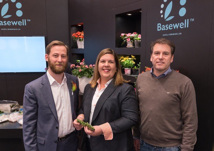 Dümmen Orange Welcomes Westhoff Annuals to Basewell™