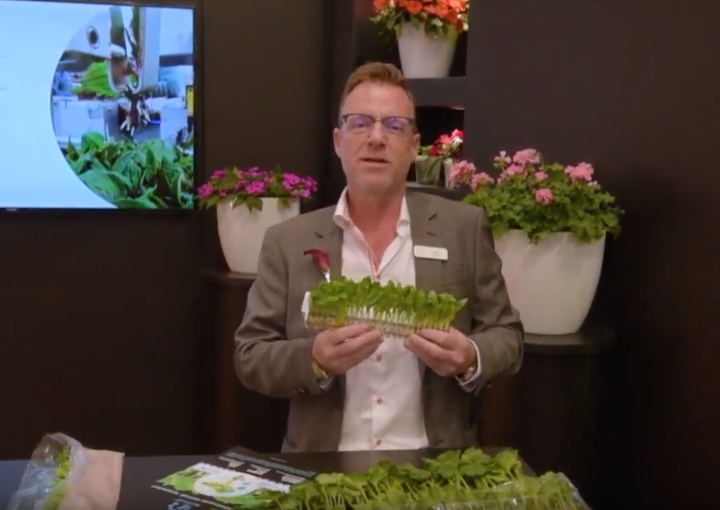 IPM 2019 Basewell Video